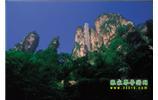 網(wǎng)絡(luò)熱門純玩游：張家界、天子山、袁家界、楊家界 自助三日游