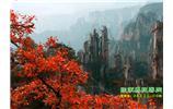 春節(jié)期間：張家界、天子山、金鞭溪自駕車精華精品游