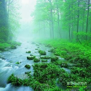 【純玩散拼尊享系列3】張家界、天子山、袁家界、黃龍洞、鳳凰三晚四日游